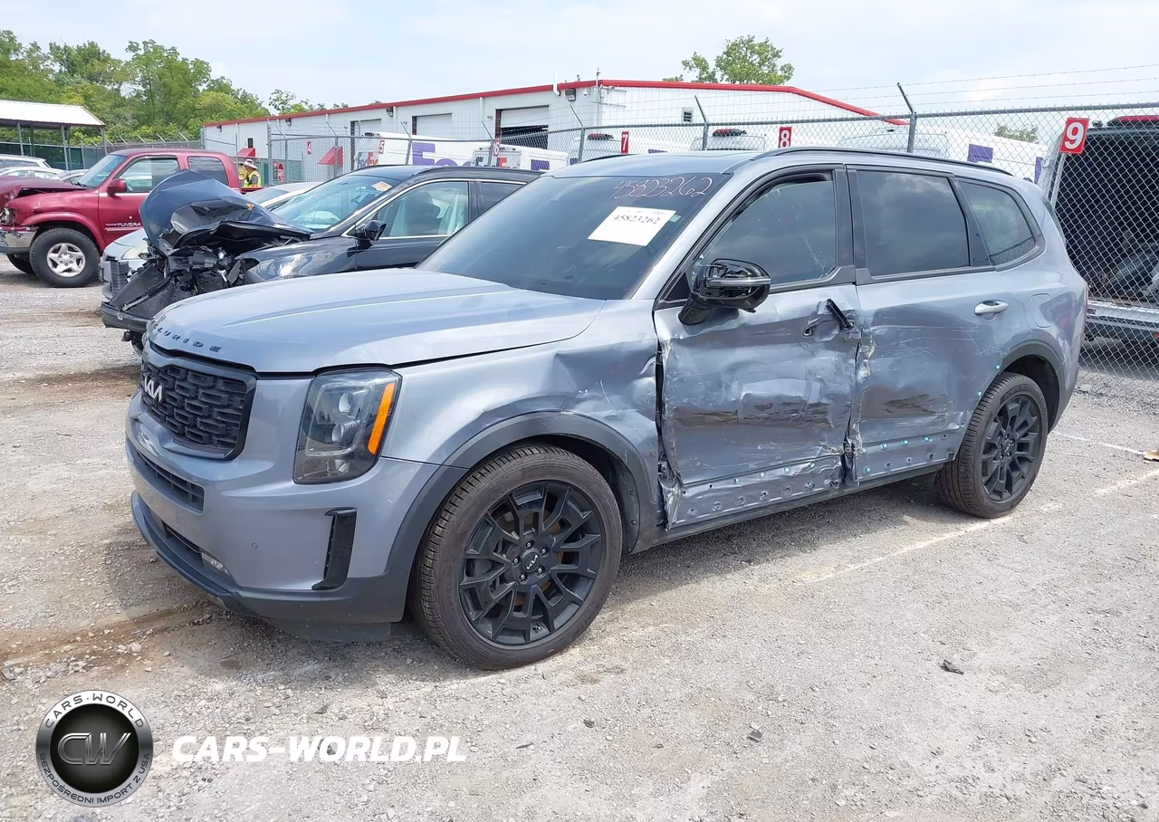 2022 Kia Telluride Sx VIN:5XYP5DHC3NG295988 - 2
