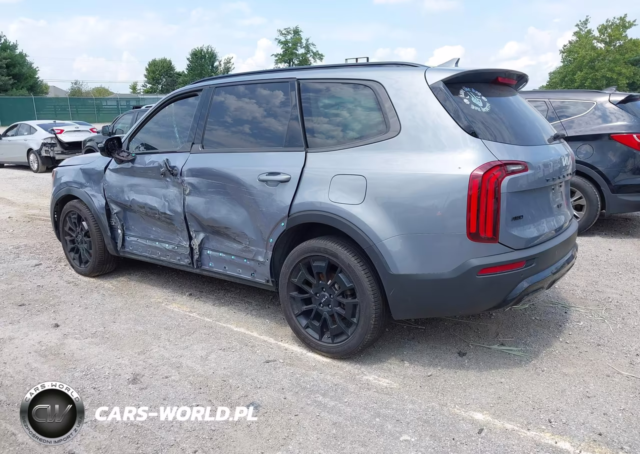 2022 Kia Telluride Sx VIN:5XYP5DHC3NG295988 - 3