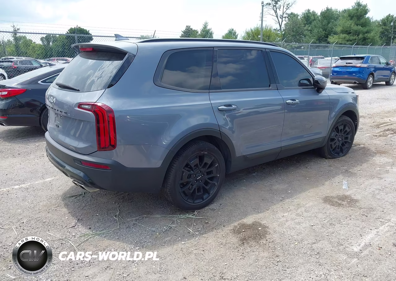 2022 Kia Telluride Sx VIN:5XYP5DHC3NG295988 - 4