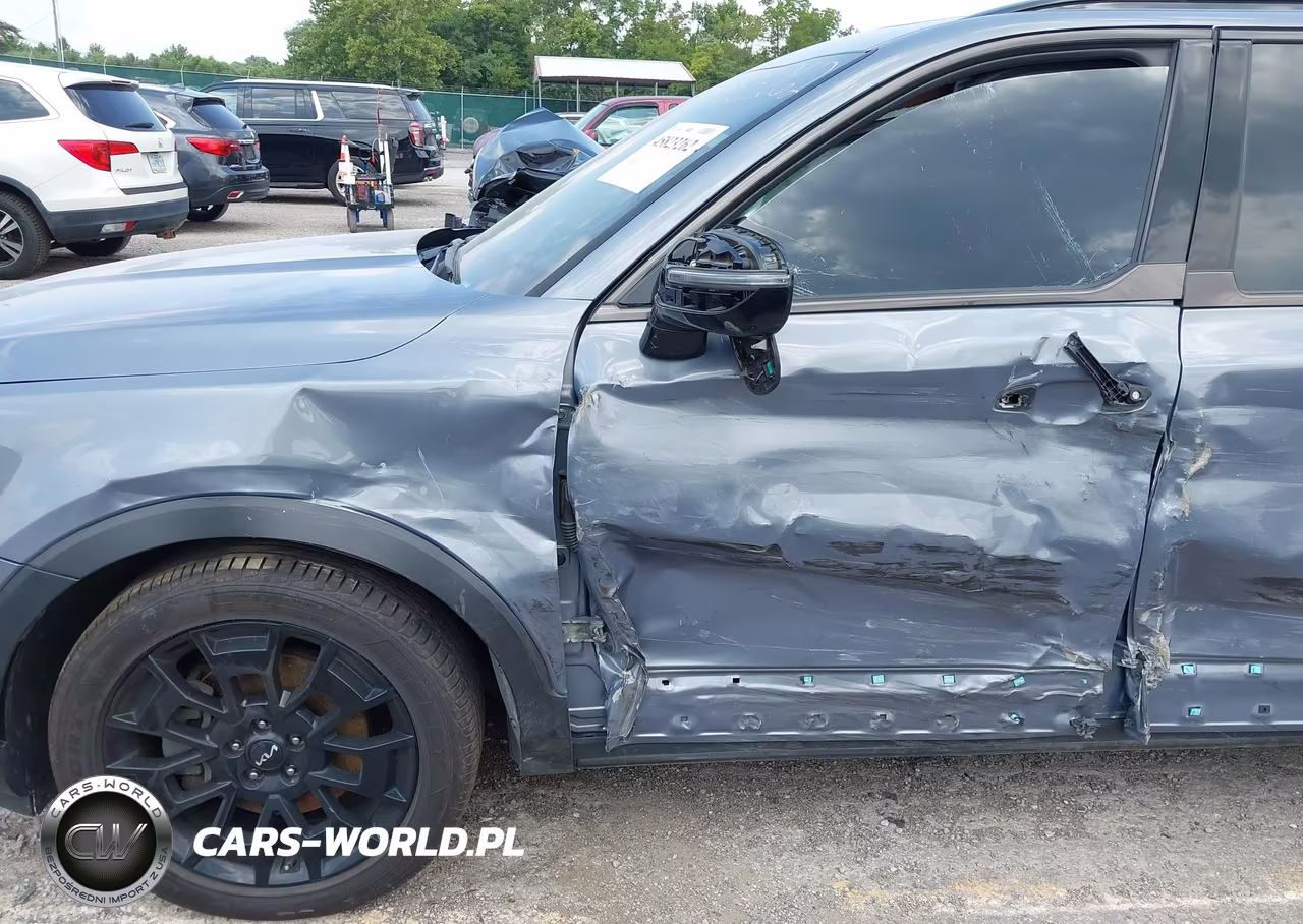 2022 Kia Telluride Sx VIN:5XYP5DHC3NG295988 - 6