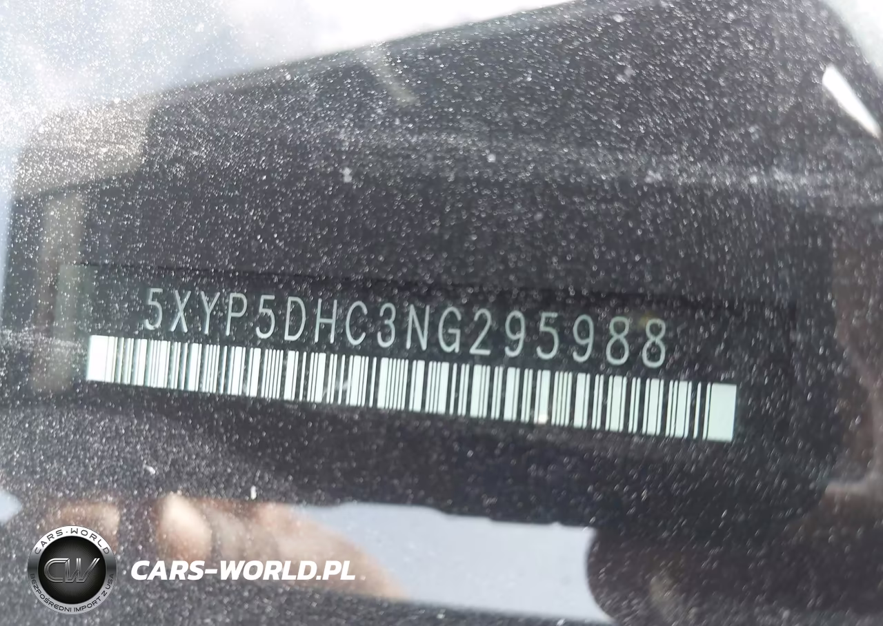 2022 Kia Telluride Sx VIN:5XYP5DHC3NG295988 - 9