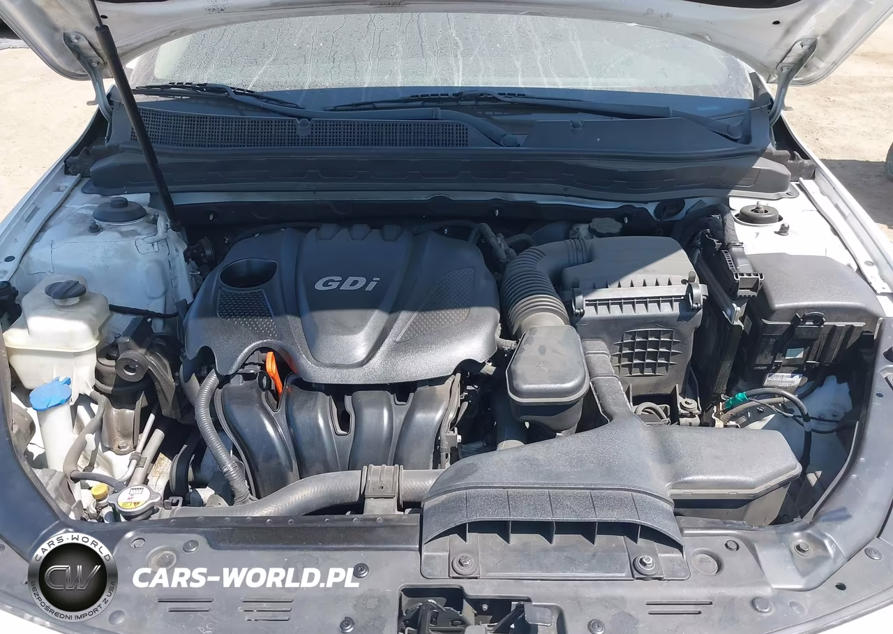 2014 Kia Optima Lx VIN:5XXGM4A74EG280369 - 10