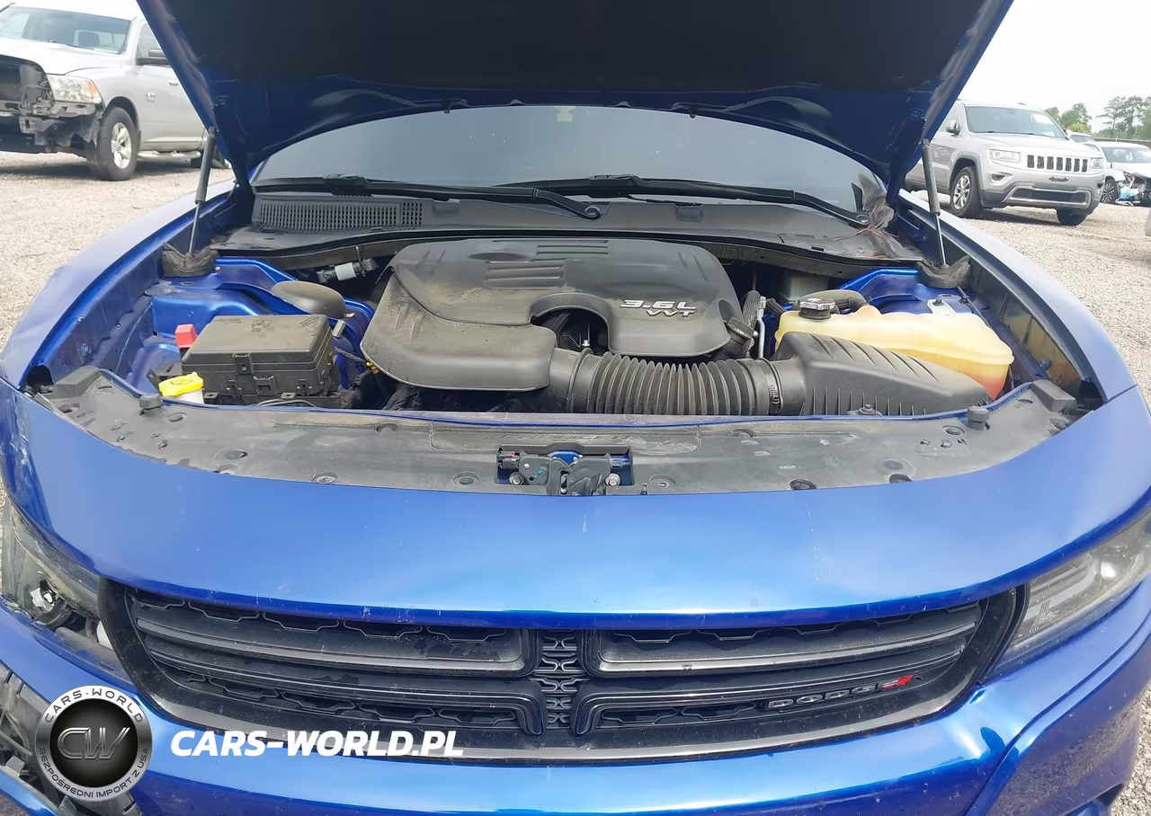 DODGE CHARGER VIN:2C3CDXBG3MH624417 - 10