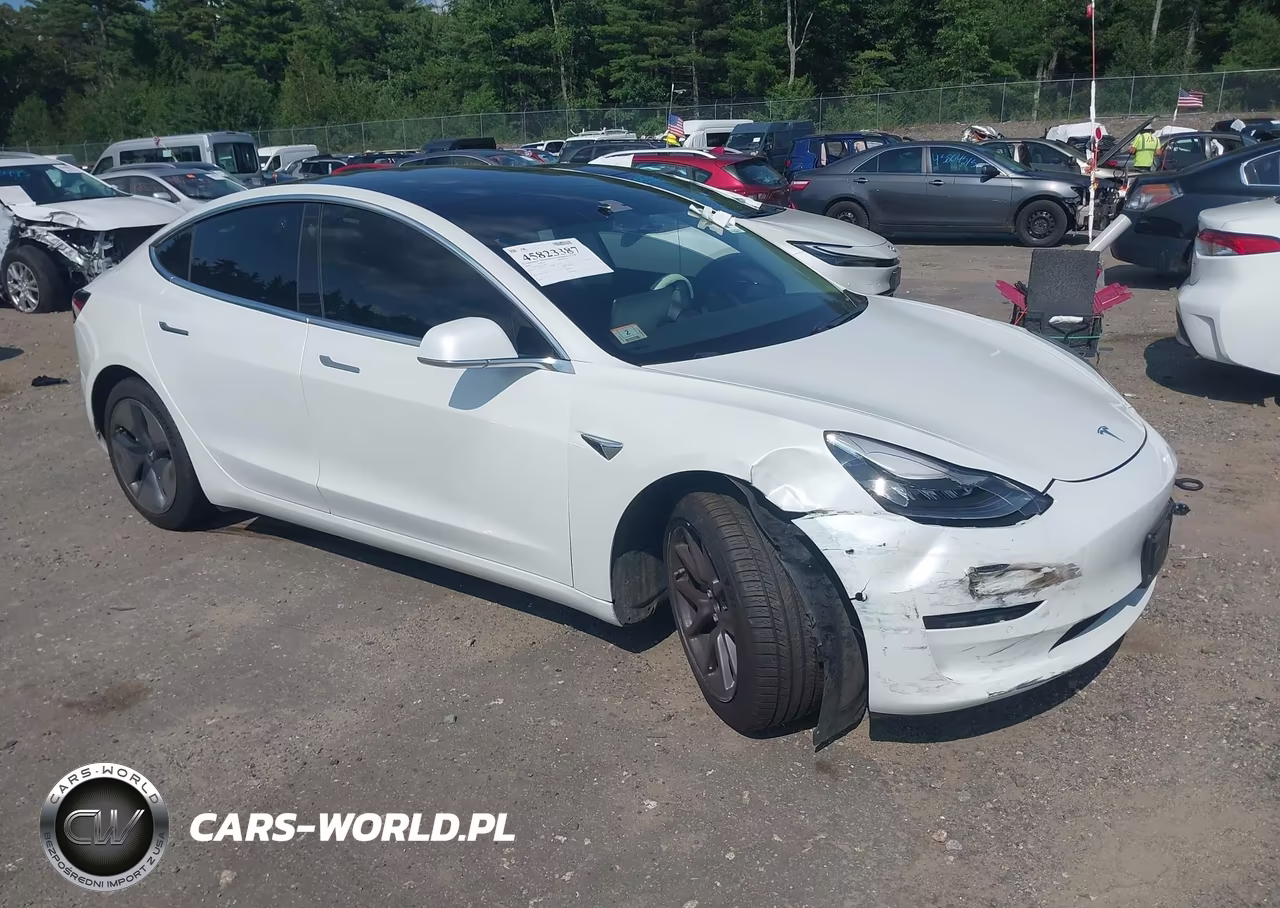 2020 Tesla Model 3 Standard Range Plus Rear-Wheel Drive-Standard Range Rear-Wheel Drive – zdjęcie 1 z 19