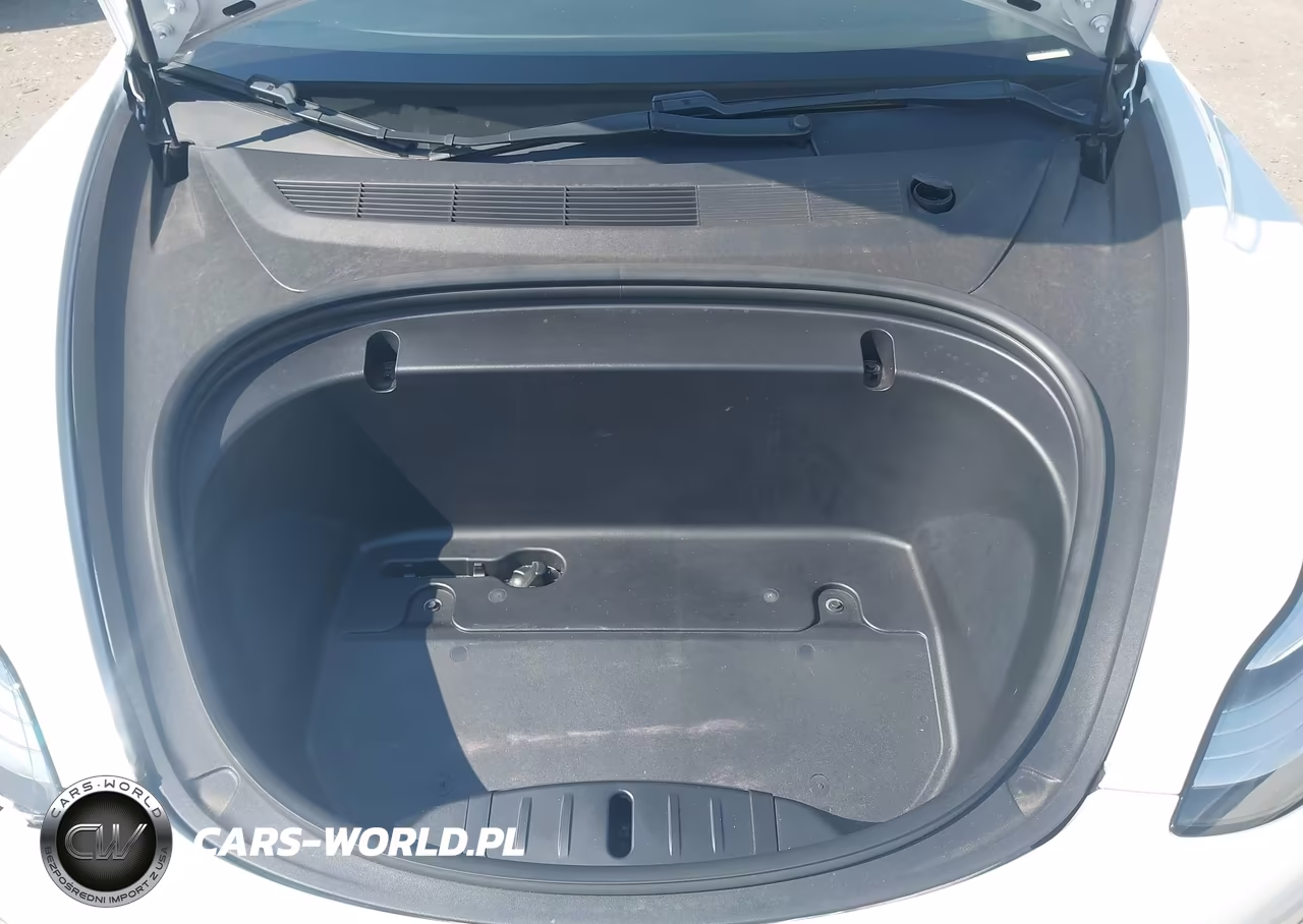 2020 Tesla Model 3 Standard Range Plus Rear-Wheel Drive-Standard Range Rear-Wheel Drive VIN:5YJ3E1EA9LF644835 - 10