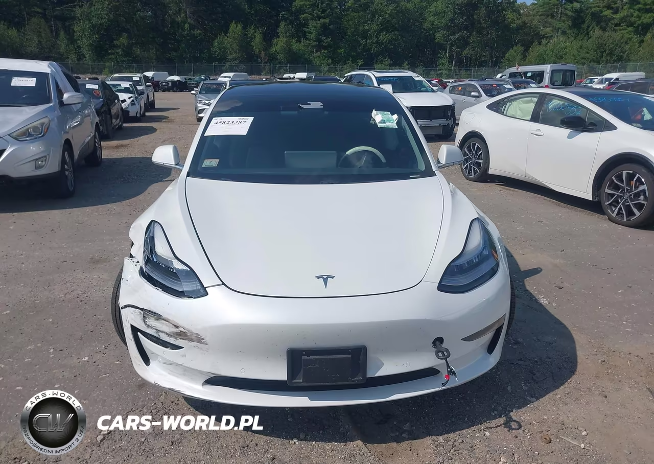 2020 Tesla Model 3 Standard Range Plus Rear-Wheel Drive-Standard Range Rear-Wheel Drive VIN:5YJ3E1EA9LF644835 - 12