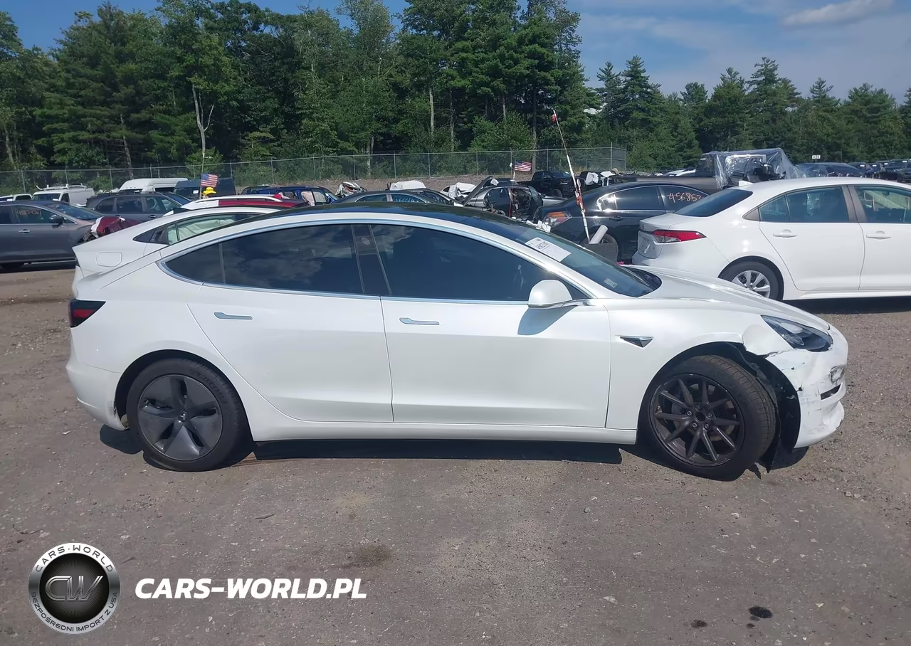 2020 Tesla Model 3 Standard Range Plus Rear-Wheel Drive-Standard Range Rear-Wheel Drive VIN:5YJ3E1EA9LF644835 - 13