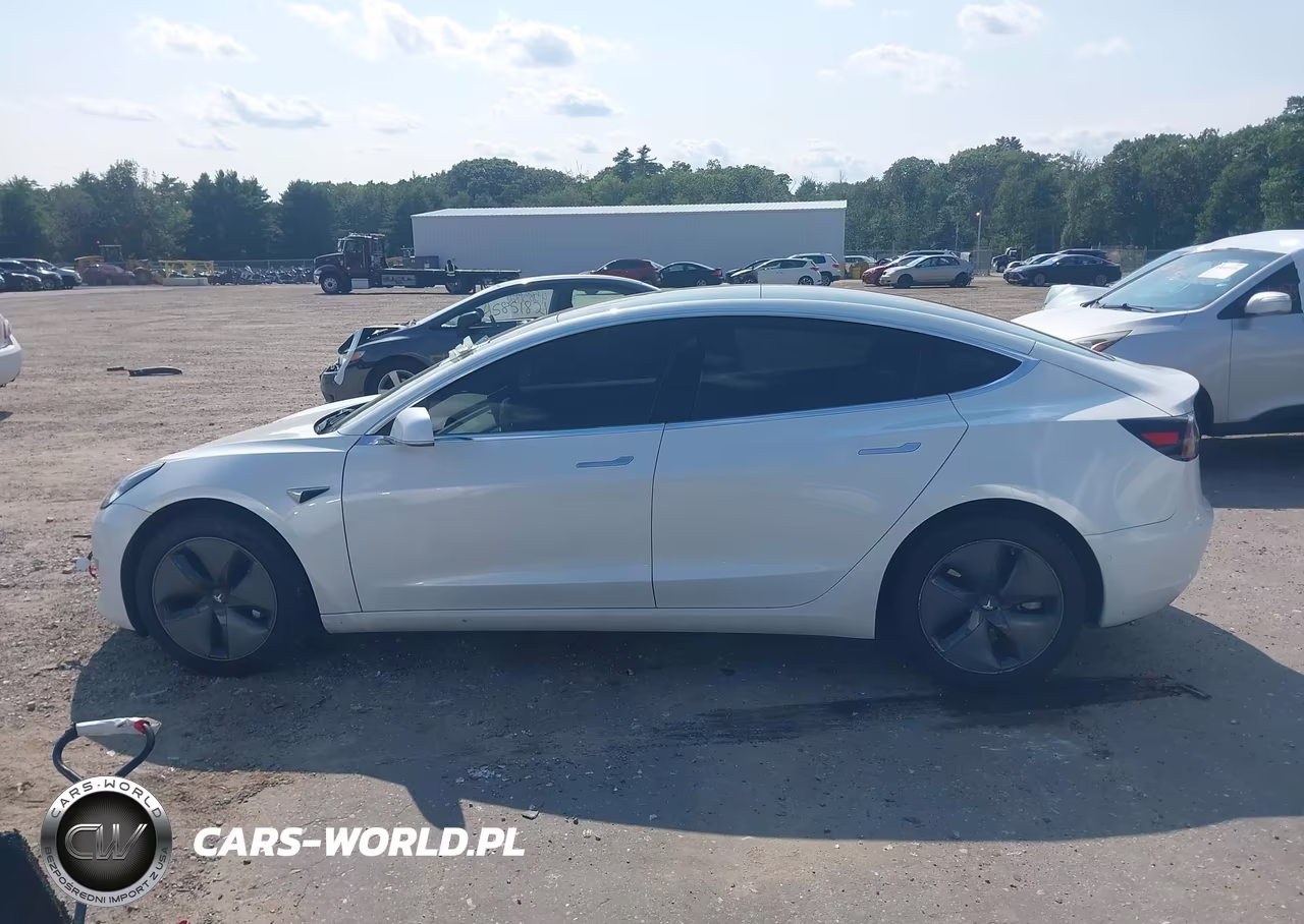 2020 Tesla Model 3 Standard Range Plus Rear-Wheel Drive-Standard Range Rear-Wheel Drive VIN:5YJ3E1EA9LF644835 - 14