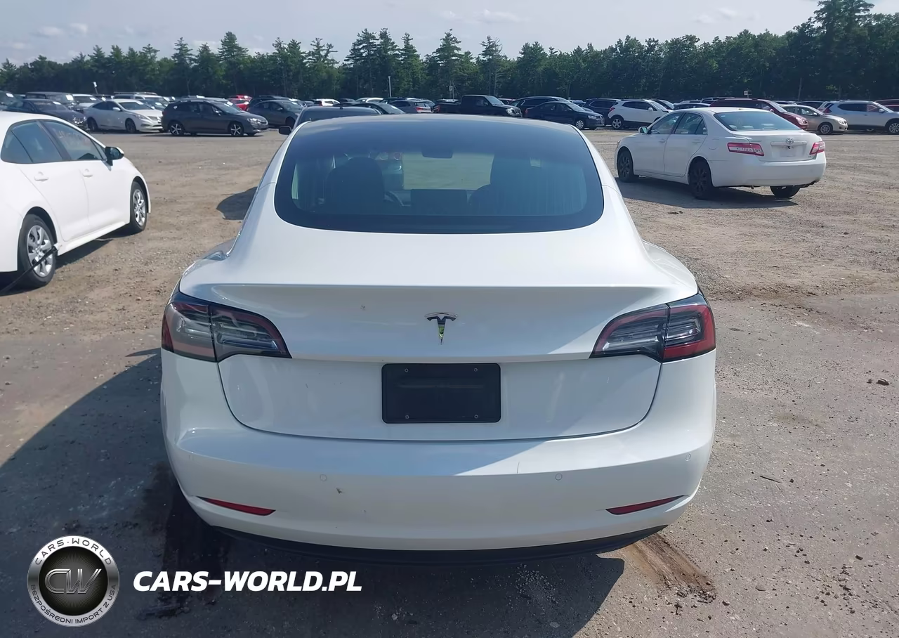 2020 Tesla Model 3 Standard Range Plus Rear-Wheel Drive-Standard Range Rear-Wheel Drive VIN:5YJ3E1EA9LF644835 - 16