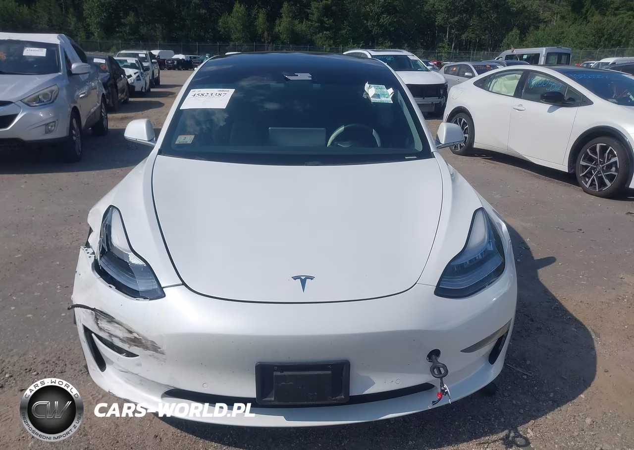 2020 Tesla Model 3 Standard Range Plus Rear-Wheel Drive-Standard Range Rear-Wheel Drive VIN:5YJ3E1EA9LF644835 - 19
