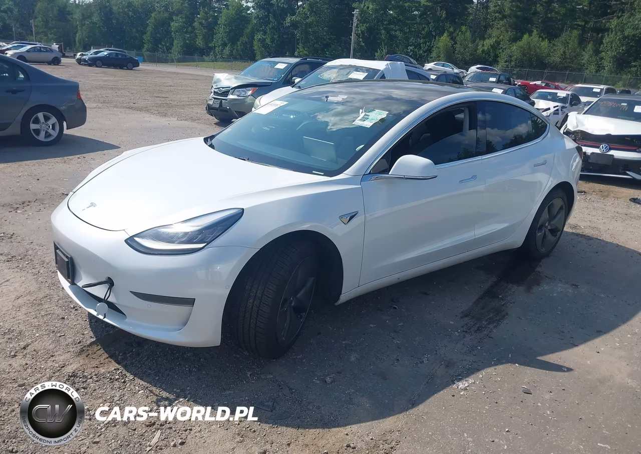 2020 Tesla Model 3 Standard Range Plus Rear-Wheel Drive-Standard Range Rear-Wheel Drive VIN:5YJ3E1EA9LF644835 - 2
