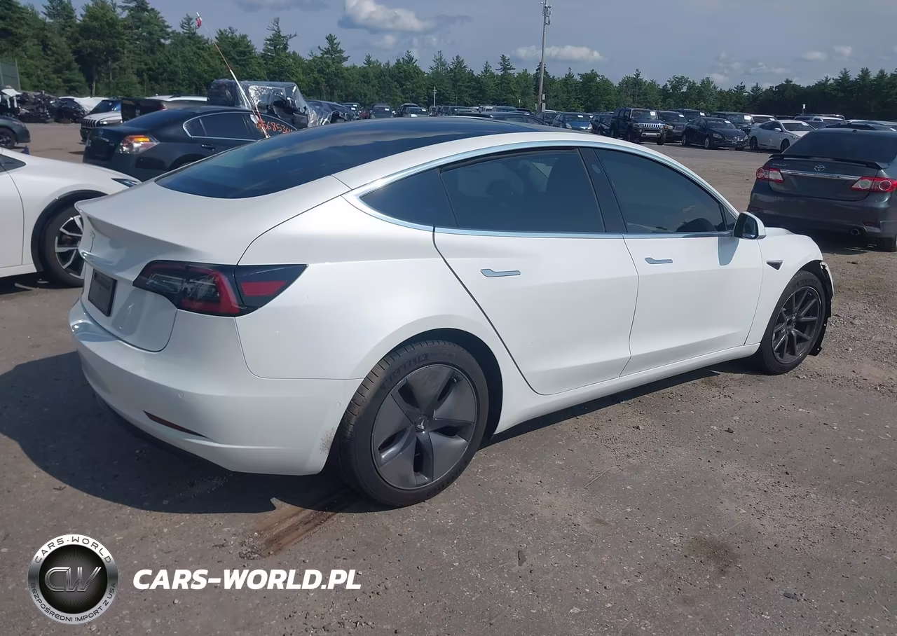 2020 Tesla Model 3 Standard Range Plus Rear-Wheel Drive-Standard Range Rear-Wheel Drive VIN:5YJ3E1EA9LF644835 - 4