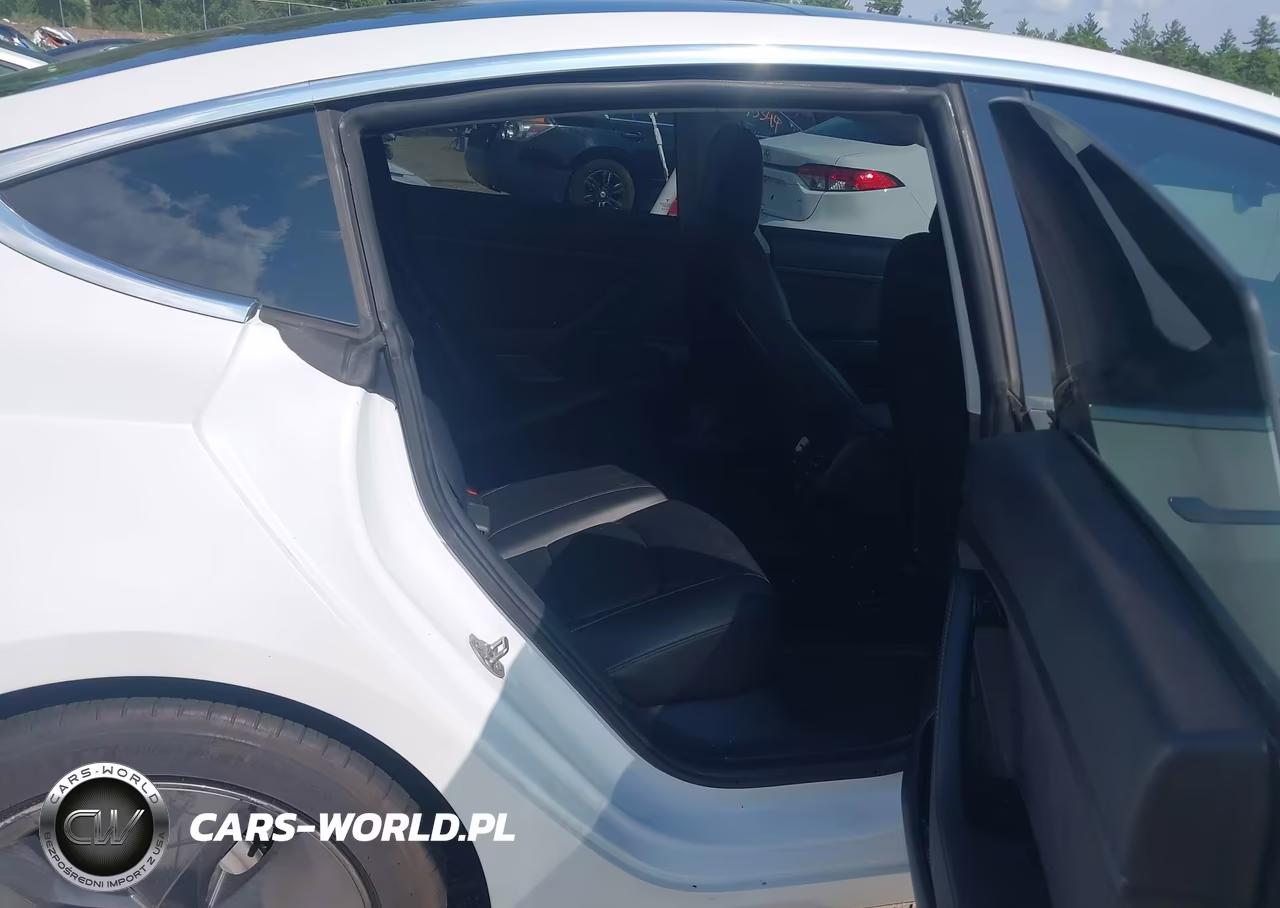 2020 Tesla Model 3 Standard Range Plus Rear-Wheel Drive-Standard Range Rear-Wheel Drive VIN:5YJ3E1EA9LF644835 - 8