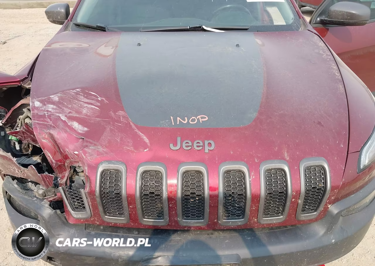 2018 Jeep Cherokee Trailhawk 4X4 VIN:1C4PJMBX2JD607606 - 10