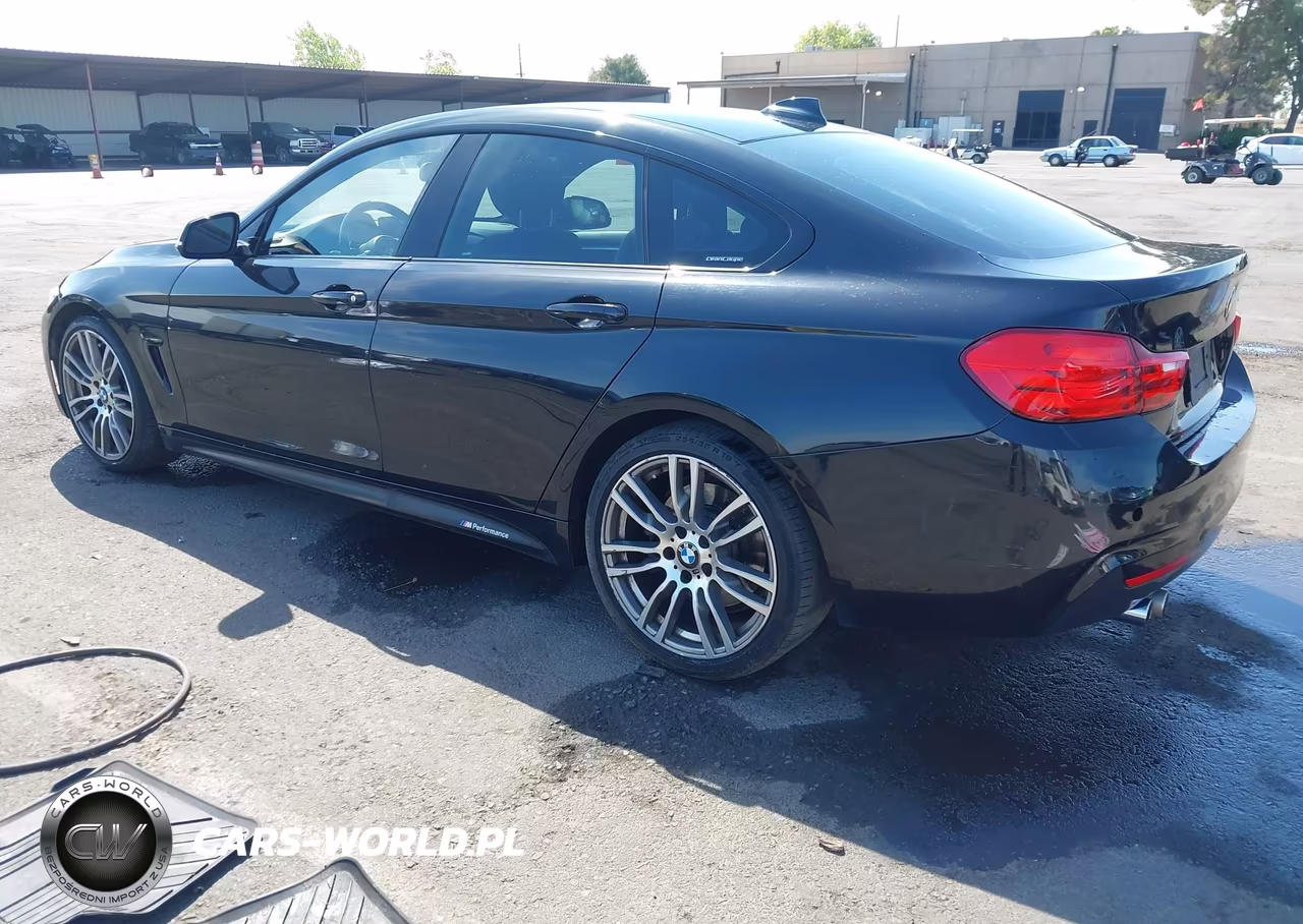 2016 BMW 428I Gran Coupe VIN:WBA4A9C59GG695538 - 3