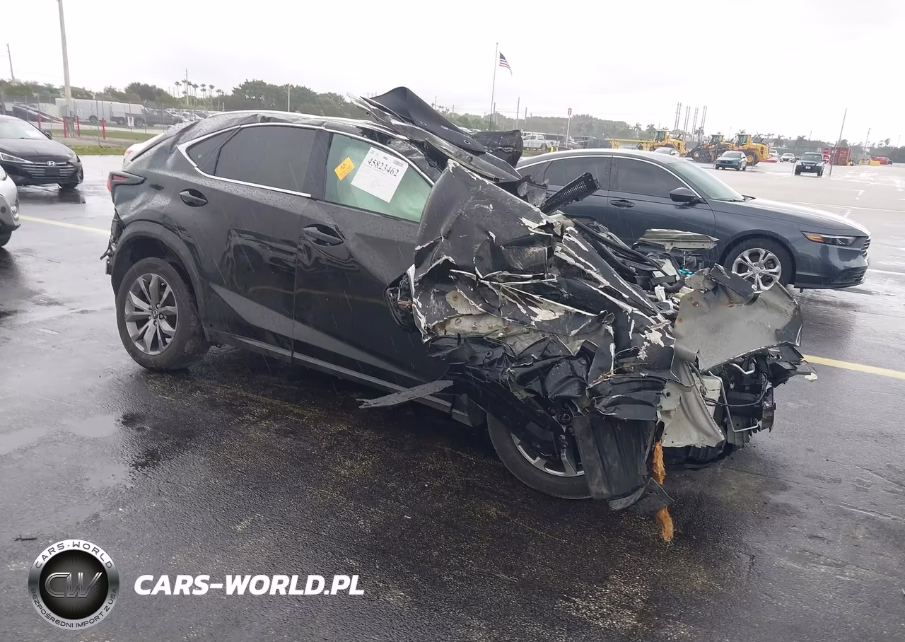 2021 Lexus Nx 300 F Sport
