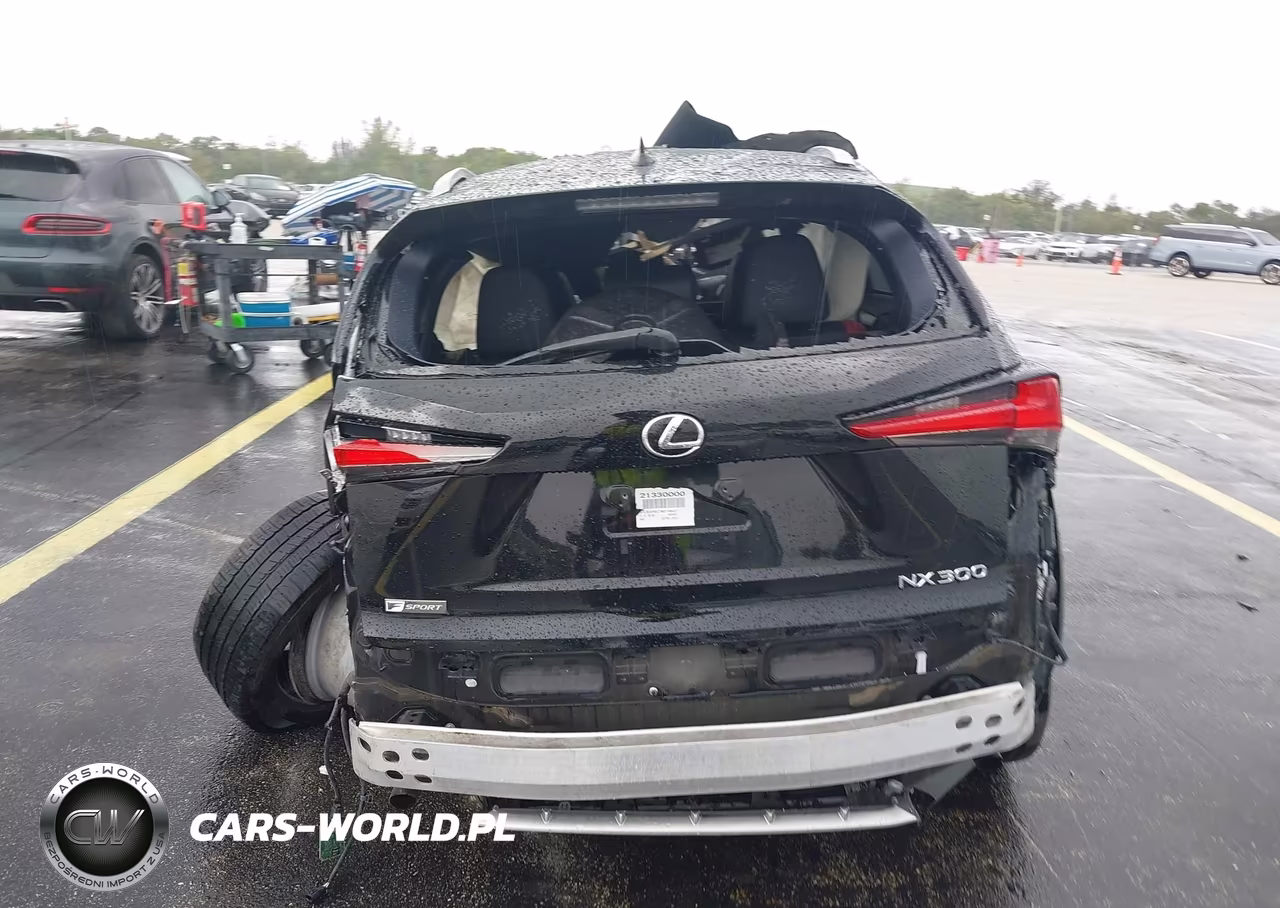 2021 Lexus Nx 300 F Sport VIN:JTJSARBZ1M2188427 - 16