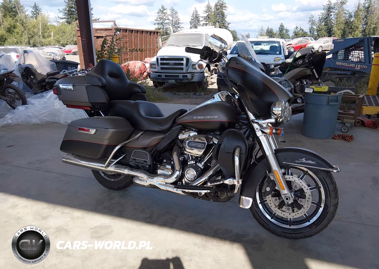2019 Harley-Davidson Flhtk