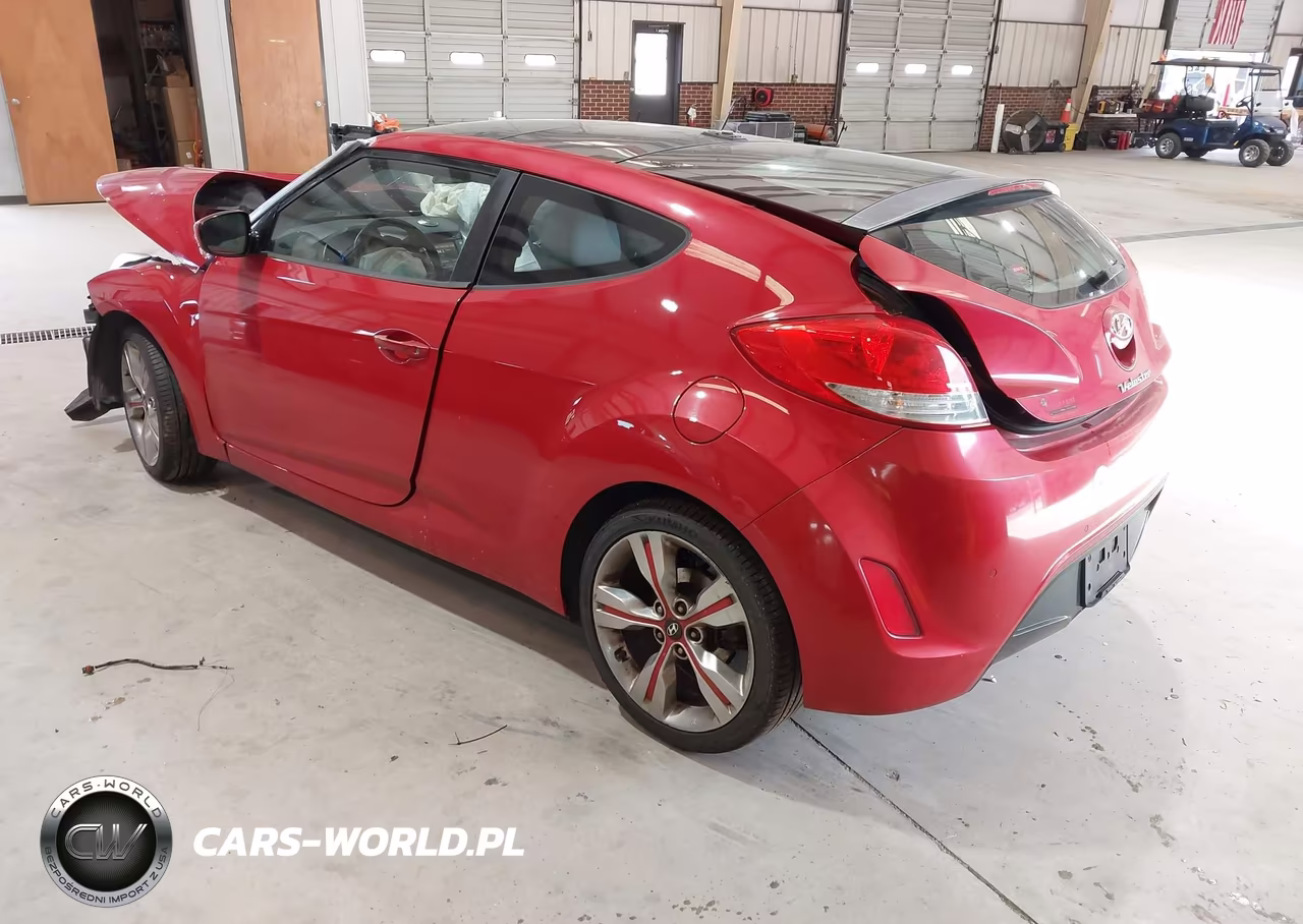 2013 Hyundai Veloster Base W-Gray VIN:KMHTC6AD2DU087449 - 3
