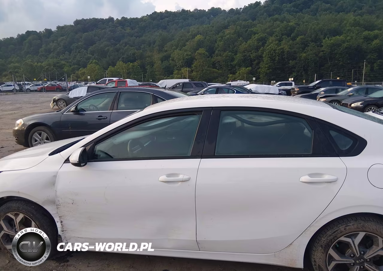 2020 Kia Forte Lxs VIN:3KPF24AD7LE183096 - 14