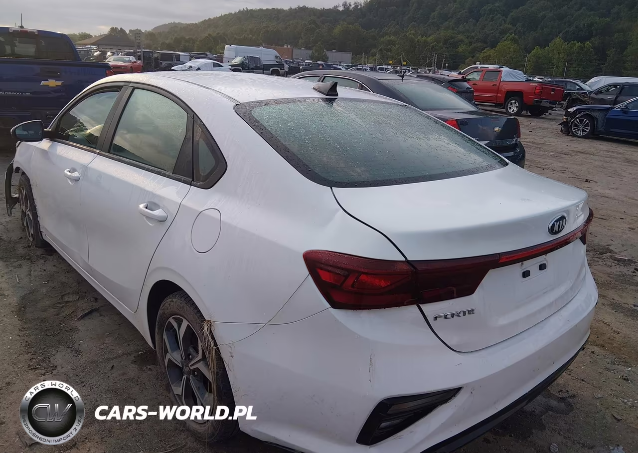 2020 Kia Forte Lxs VIN:3KPF24AD7LE183096 - 3