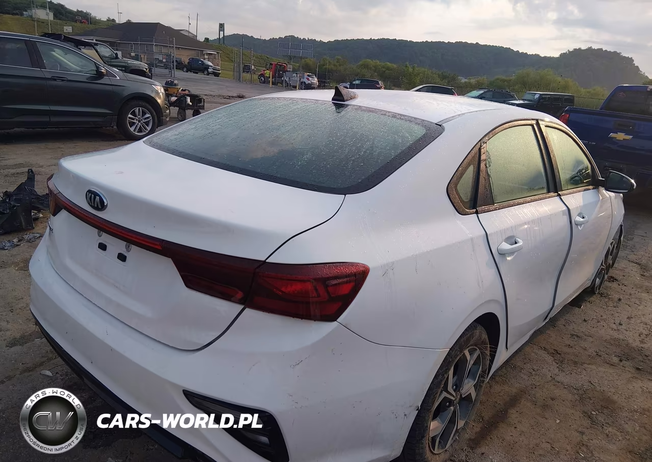 2020 Kia Forte Lxs VIN:3KPF24AD7LE183096 - 4