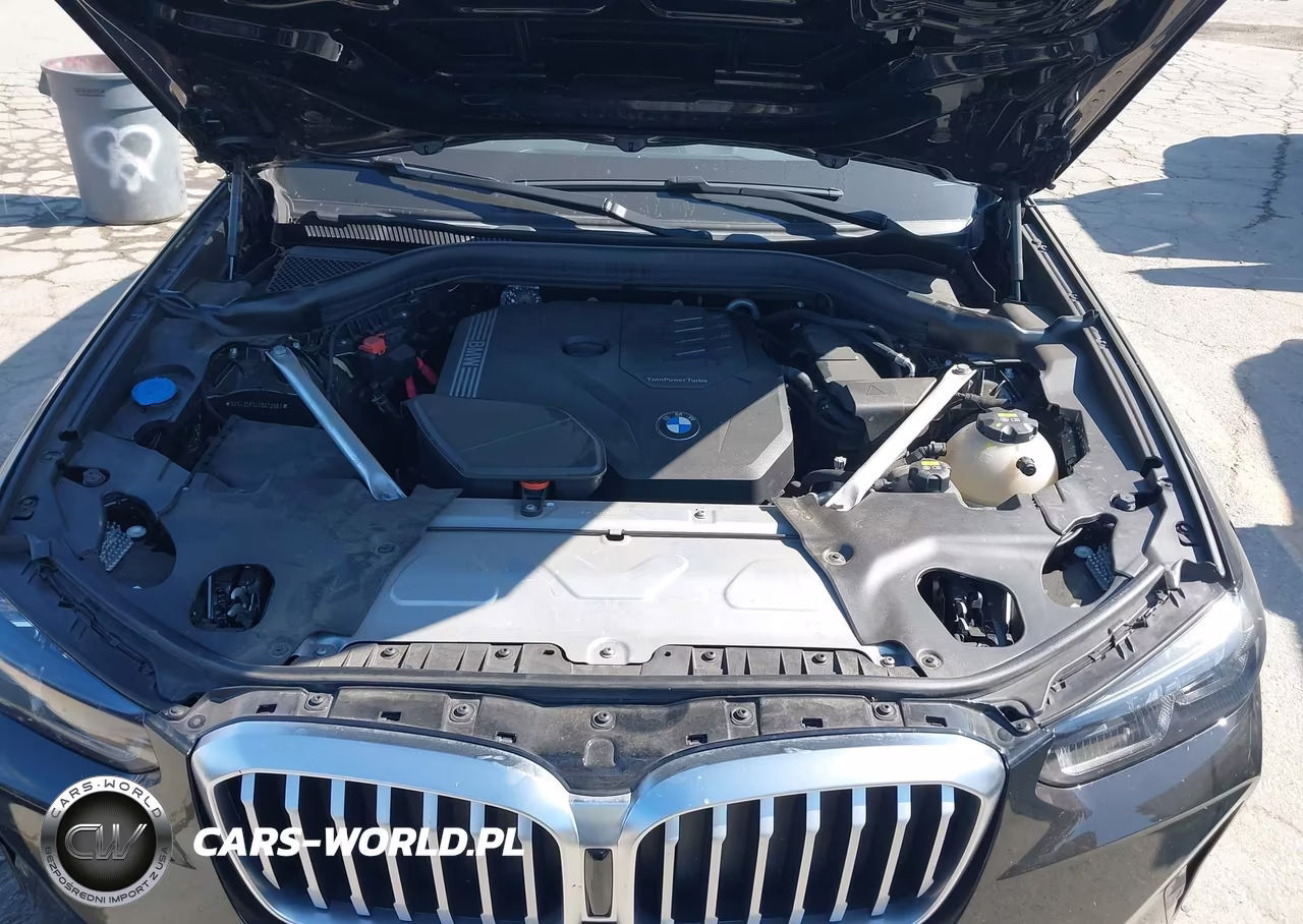 2022 BMW X3 Sdrive30I VIN:5UX43DP04N9K73983 - 10