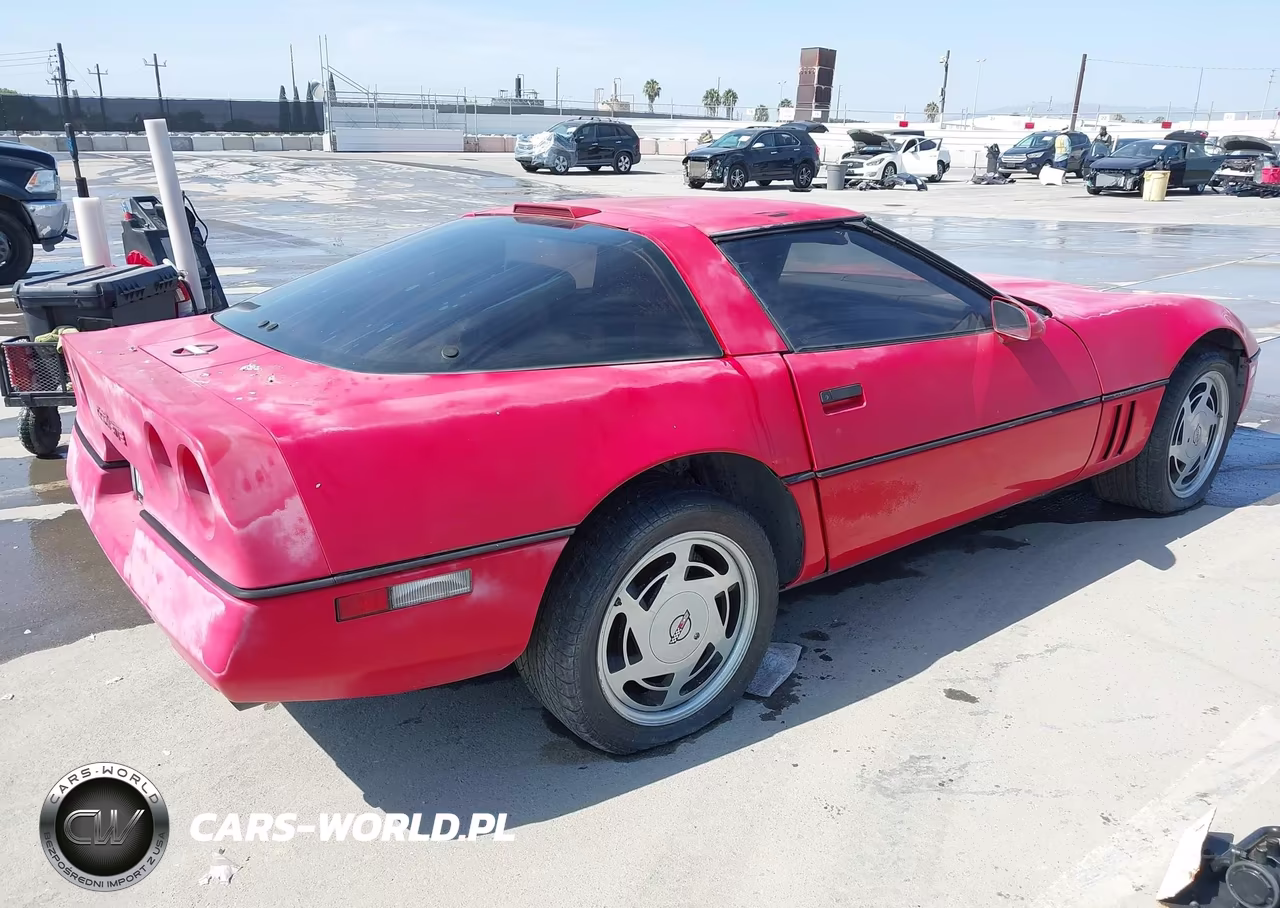 1989 Chevrolet Corvette VIN:1G1YY2187K5111509 - 4