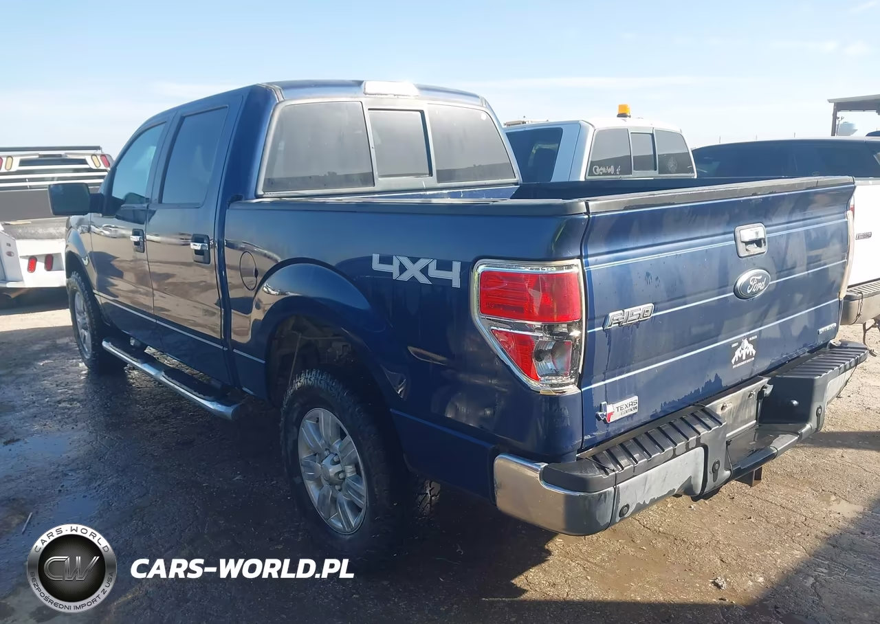 2012 Ford F-150 Xlt VIN:1FTFW1EF3CFC76671 - 3