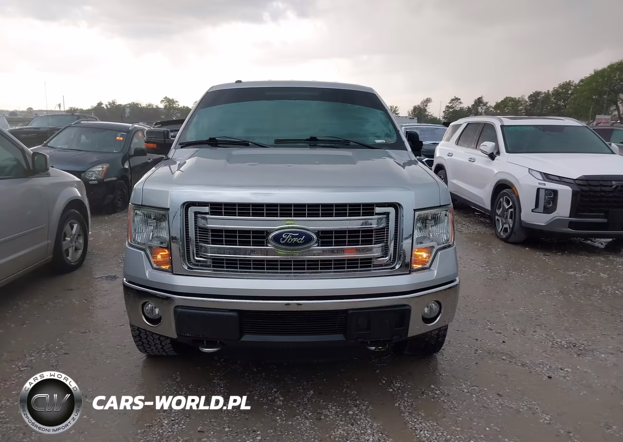 2013 Ford F-150 Xlt VIN:1FTFX1ET6DFD38777 - 12