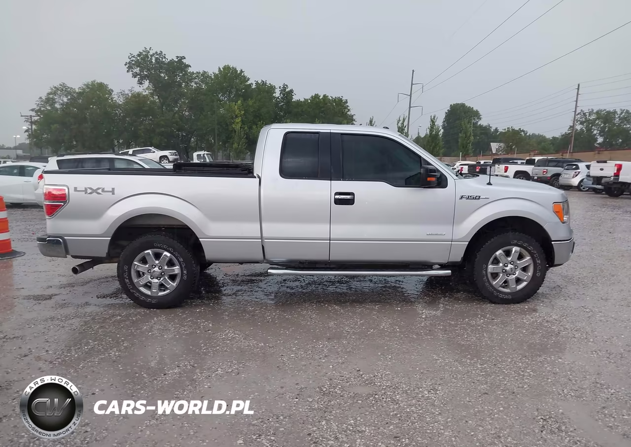 2013 Ford F-150 Xlt VIN:1FTFX1ET6DFD38777 - 13