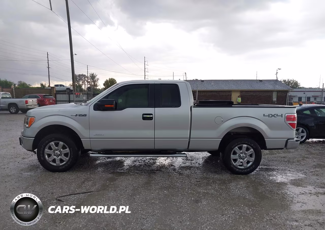 2013 Ford F-150 Xlt VIN:1FTFX1ET6DFD38777 - 14