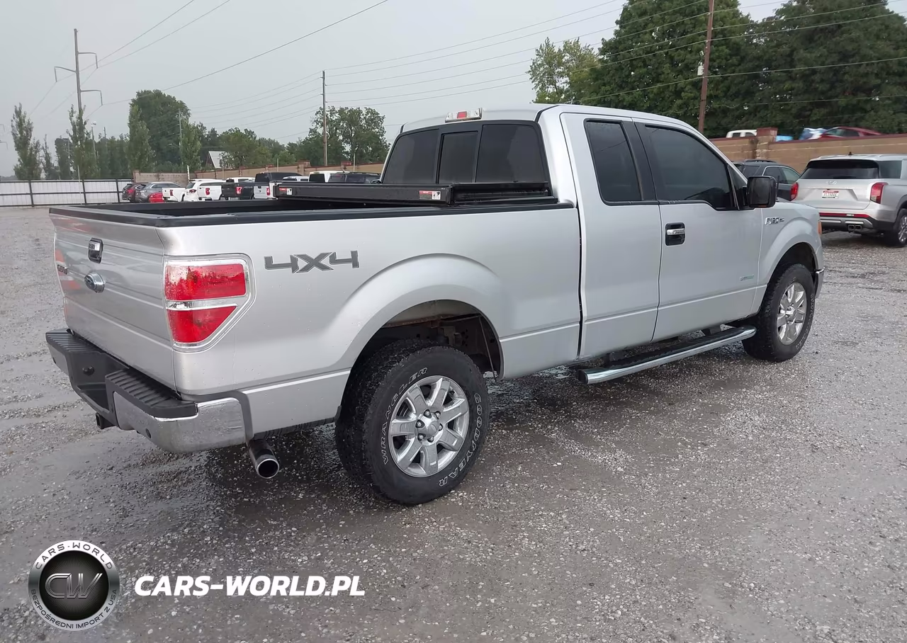 2013 Ford F-150 Xlt VIN:1FTFX1ET6DFD38777 - 4