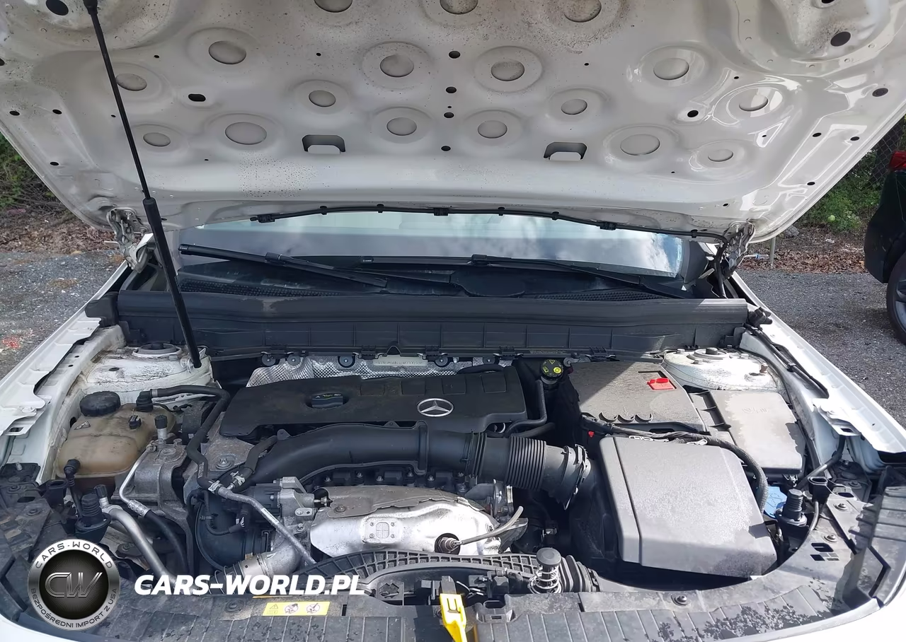 2020 Mercedes-Benz Glb 250 4Matic VIN:W1N4M4HB4LW030048 - 10