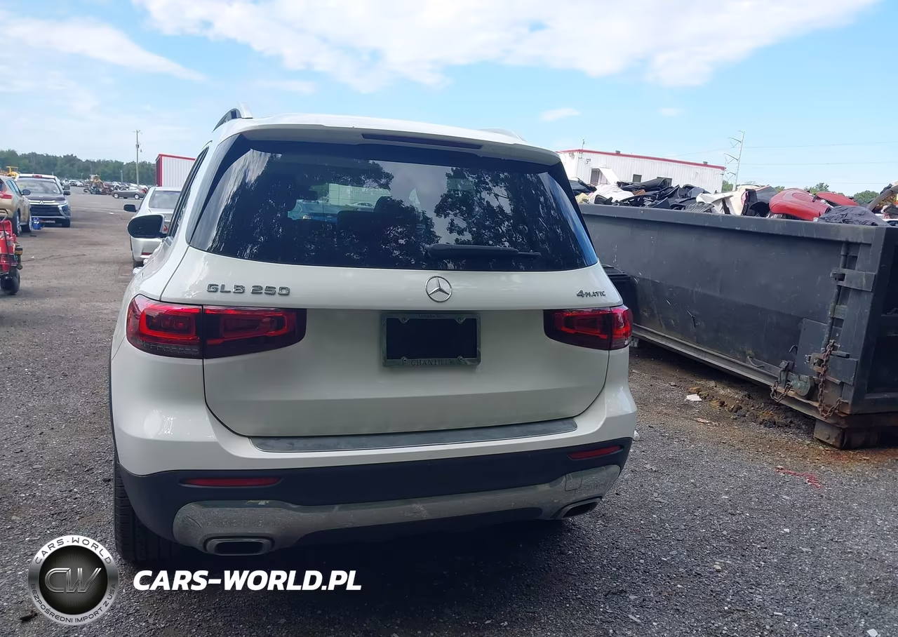 2020 Mercedes-Benz Glb 250 4Matic VIN:W1N4M4HB4LW030048 - 16