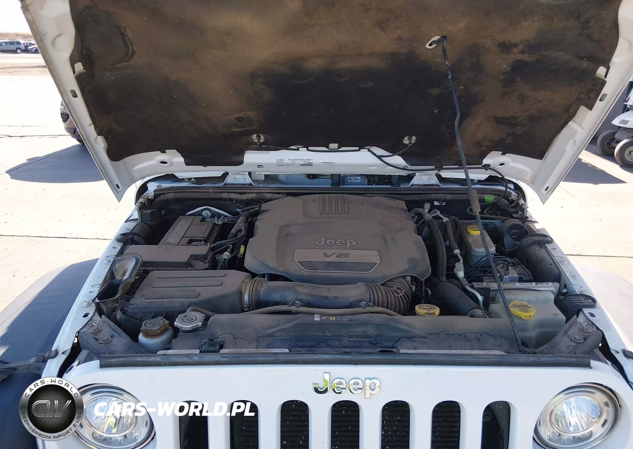 2017 Jeep Wrangler Unlimited Rubicon VIN:1C4BJWFG2HL509563 - 10