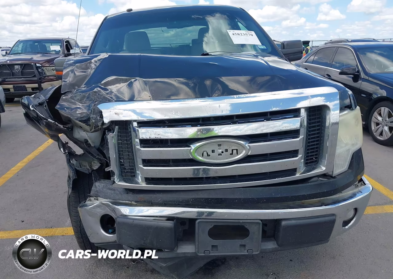 2009 Ford F-150 Xl-Xlt VIN:1FTRW12899FA46354 - 12