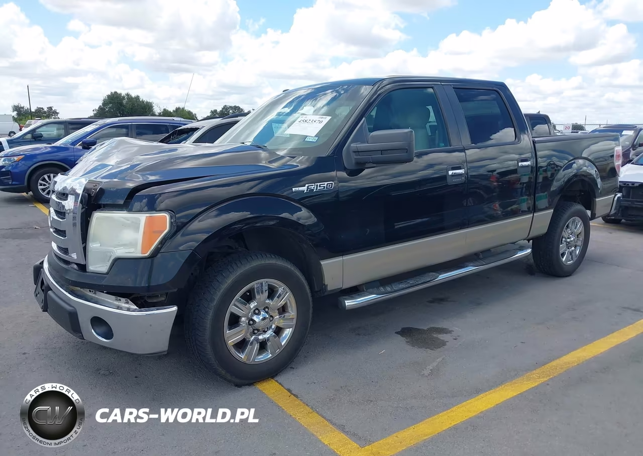 2009 Ford F-150 Xl-Xlt VIN:1FTRW12899FA46354 - 2
