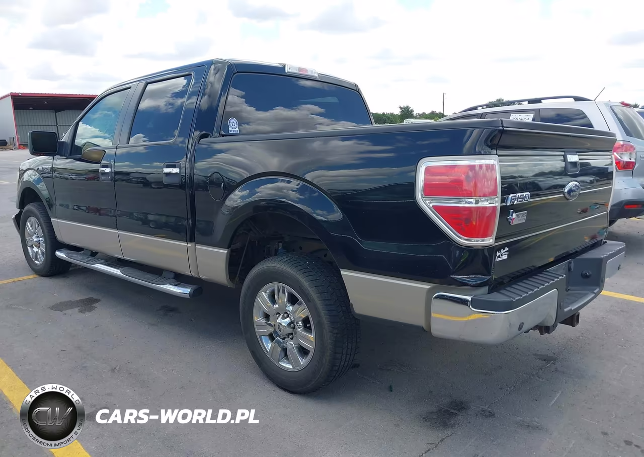2009 Ford F-150 Xl-Xlt VIN:1FTRW12899FA46354 - 3