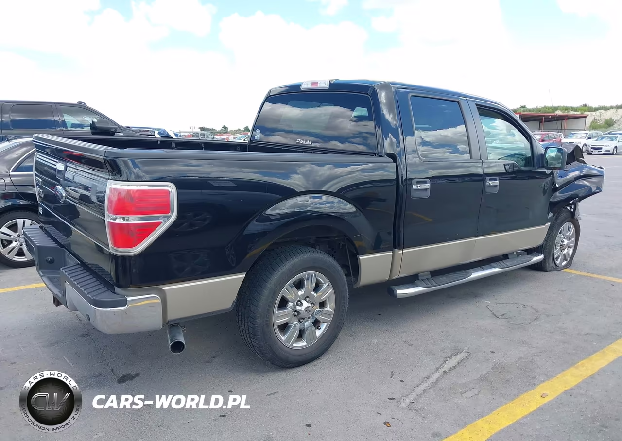 2009 Ford F-150 Xl-Xlt VIN:1FTRW12899FA46354 - 4