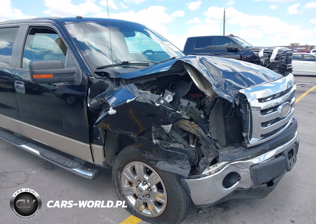 2009 Ford F-150 Xl-Xlt VIN:1FTRW12899FA46354 - 6