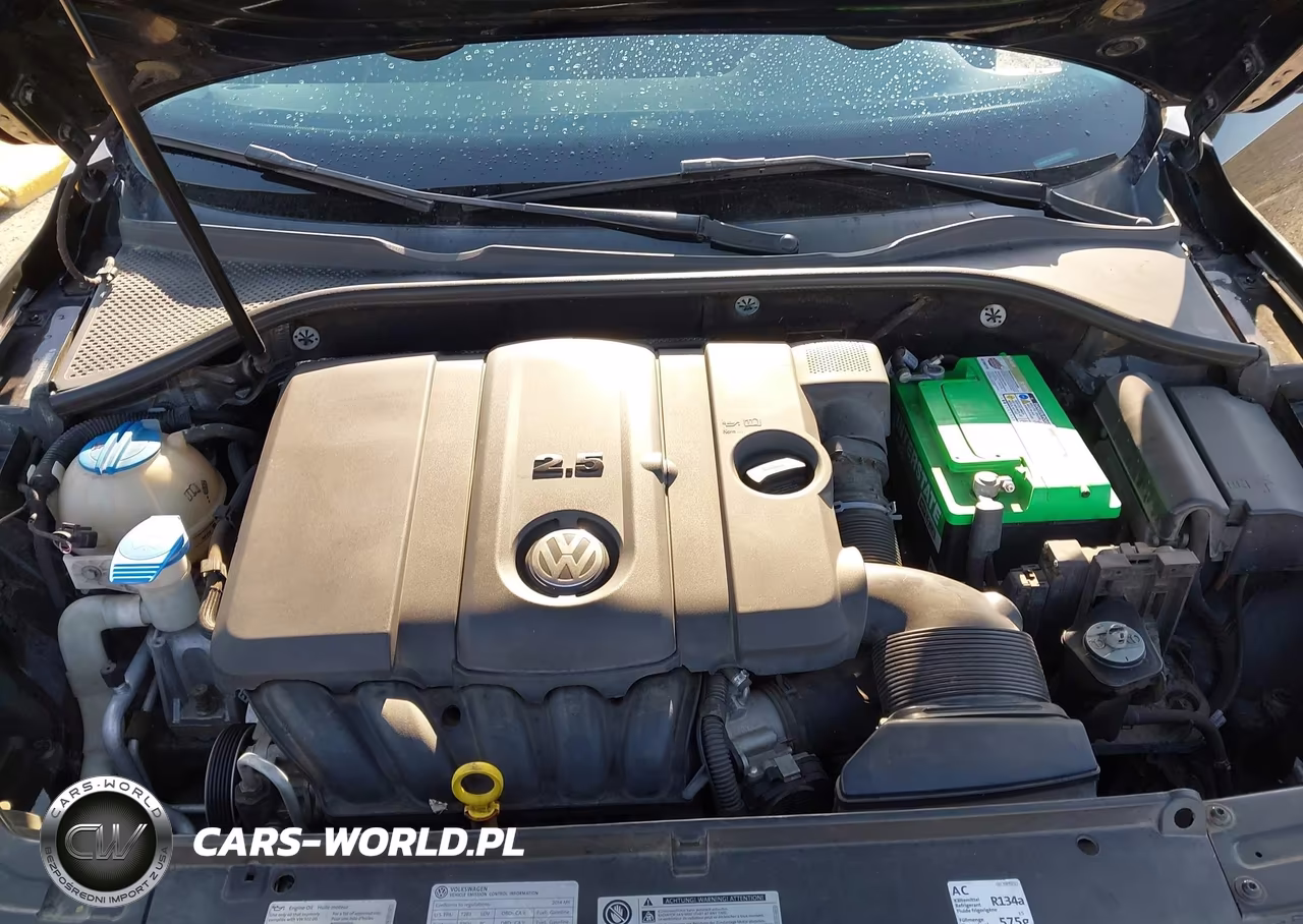 2014 Volkswagen Passat 2.5L Wolfsburg Edition VIN:1VWAP7A31EC007284 - 10