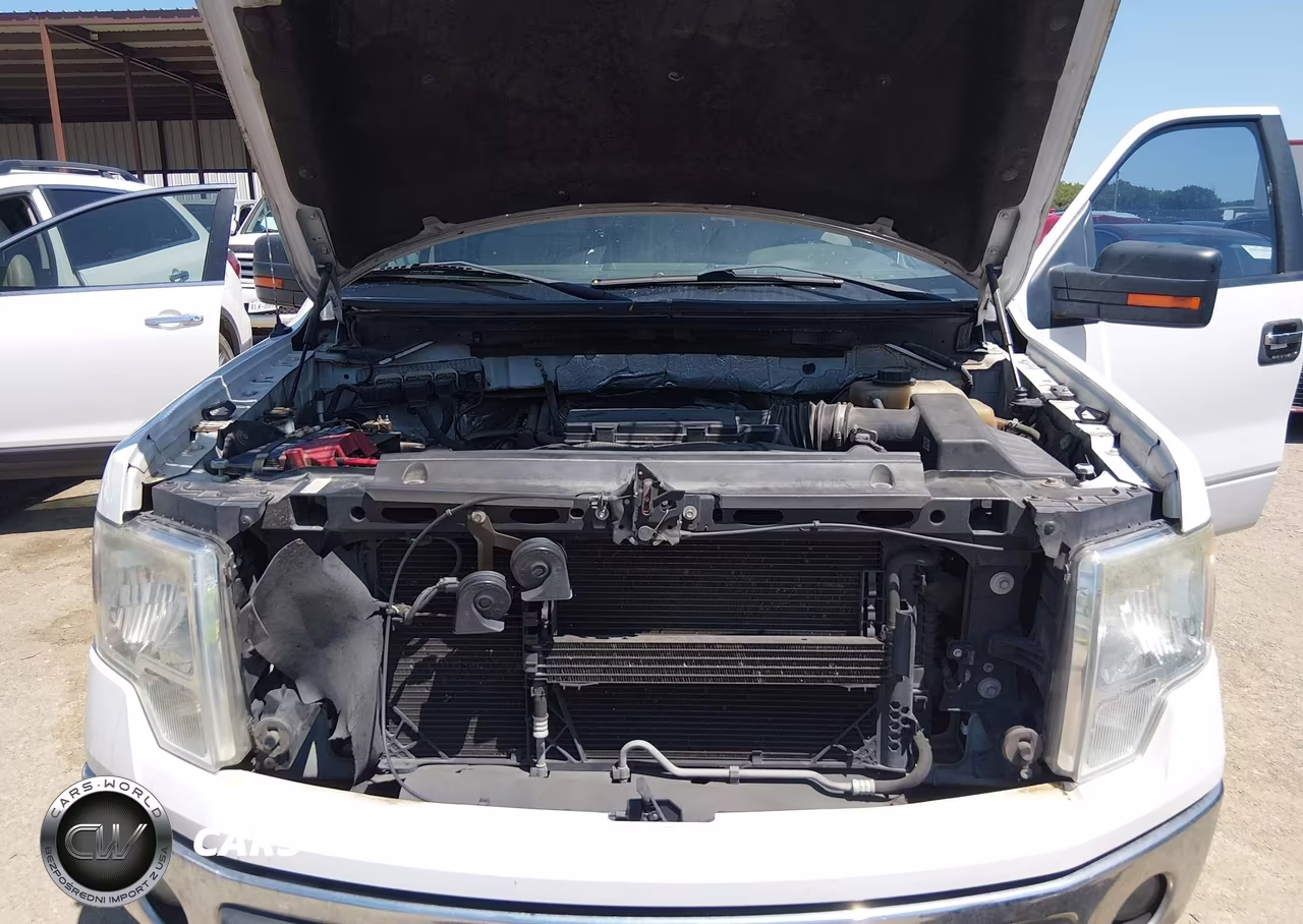 2013 Ford F-150 Xlt VIN:1FTFW1CF7DKE81132 - 10