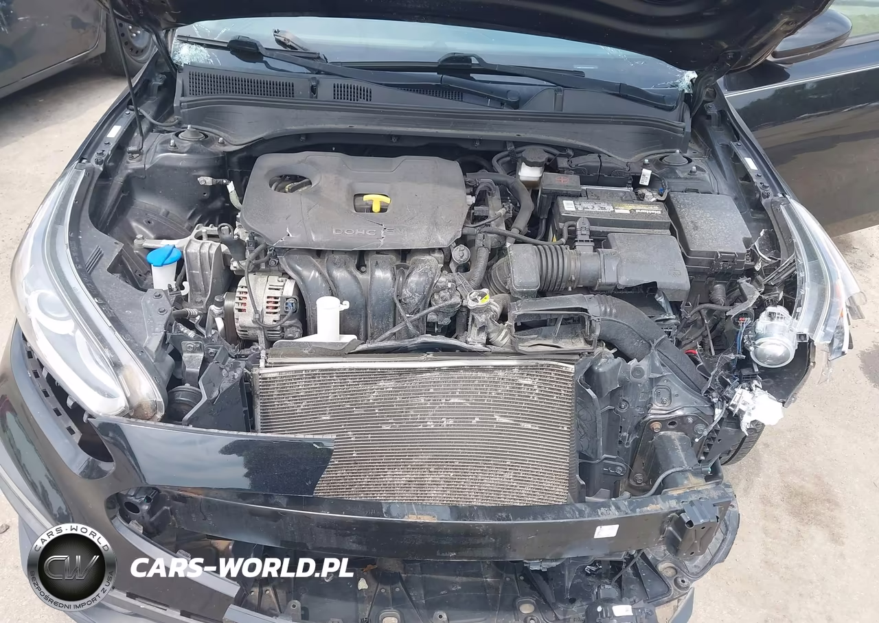 2019 Kia Forte Fe VIN:3KPF24AD8KE011934 - 10