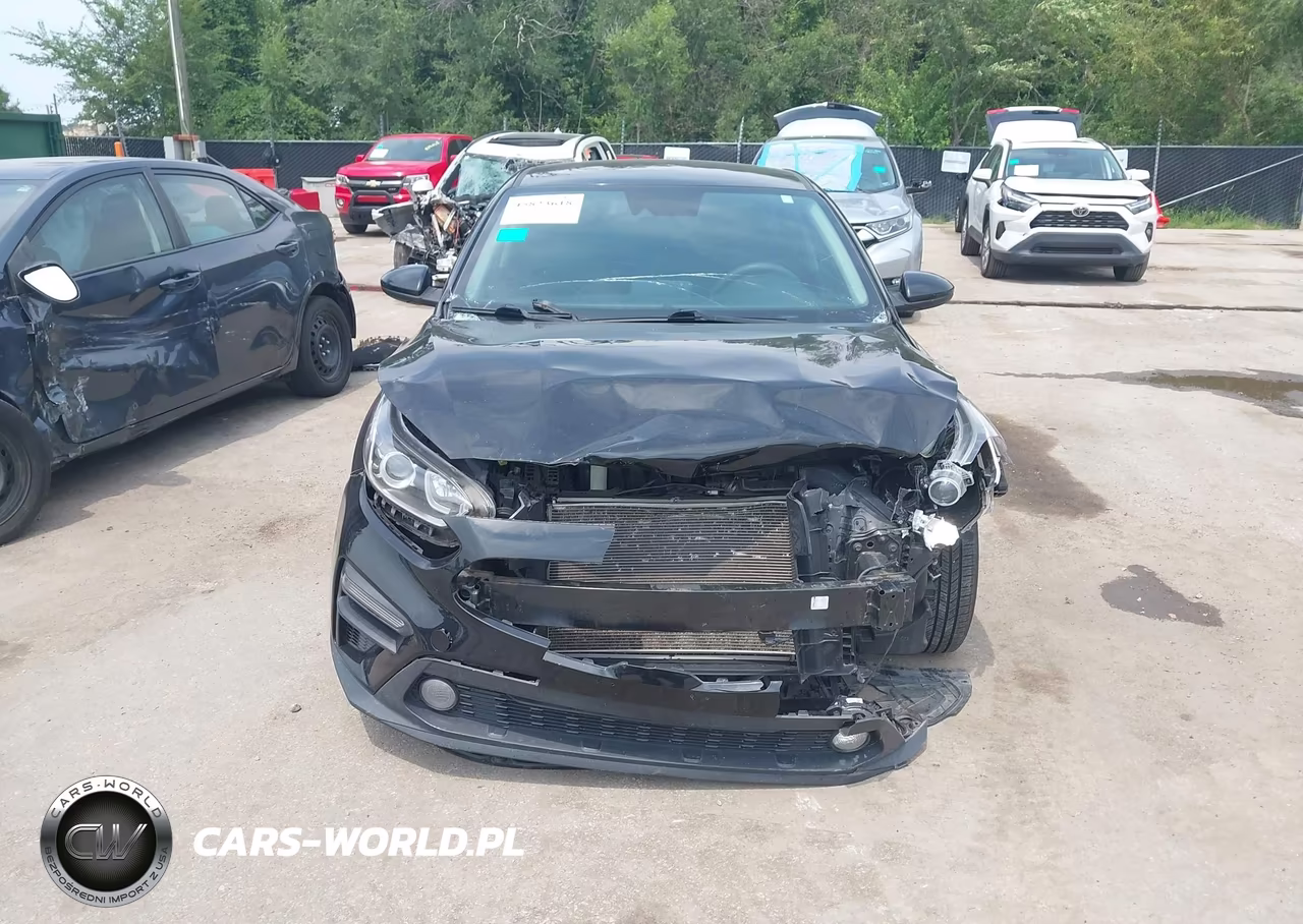 2019 Kia Forte Fe VIN:3KPF24AD8KE011934 - 13