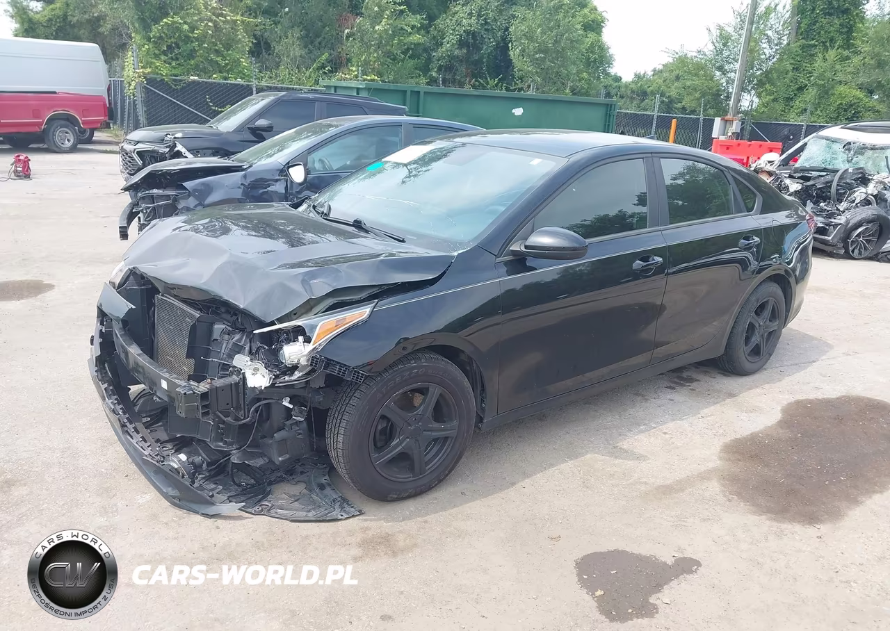 2019 Kia Forte Fe VIN:3KPF24AD8KE011934 - 2