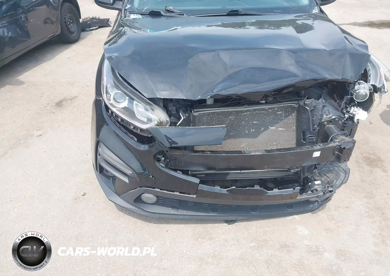 2019 Kia Forte Fe VIN:3KPF24AD8KE011934 - 6