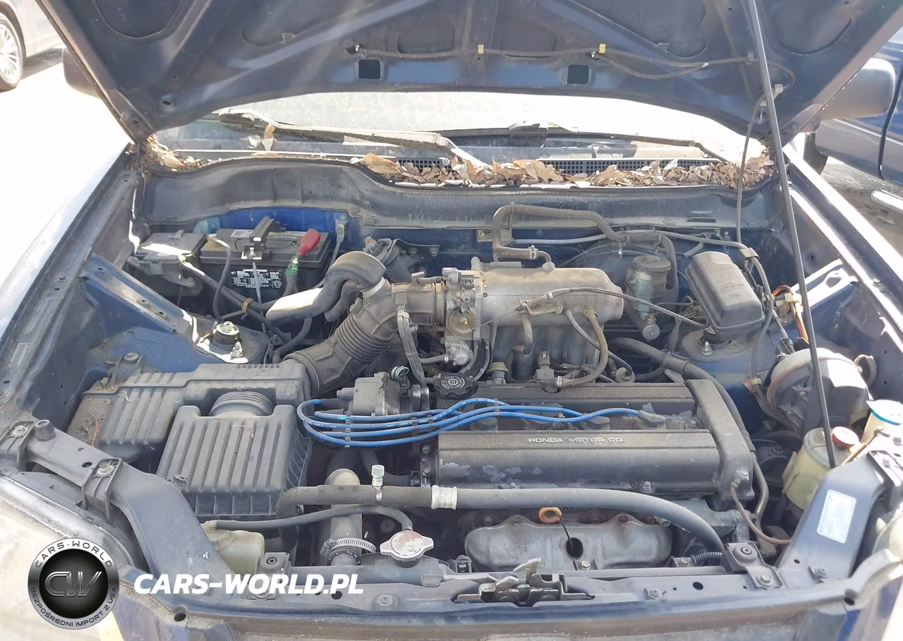 1998 Honda Cr-V Lx VIN:JHLRD2842WC013583 - 10