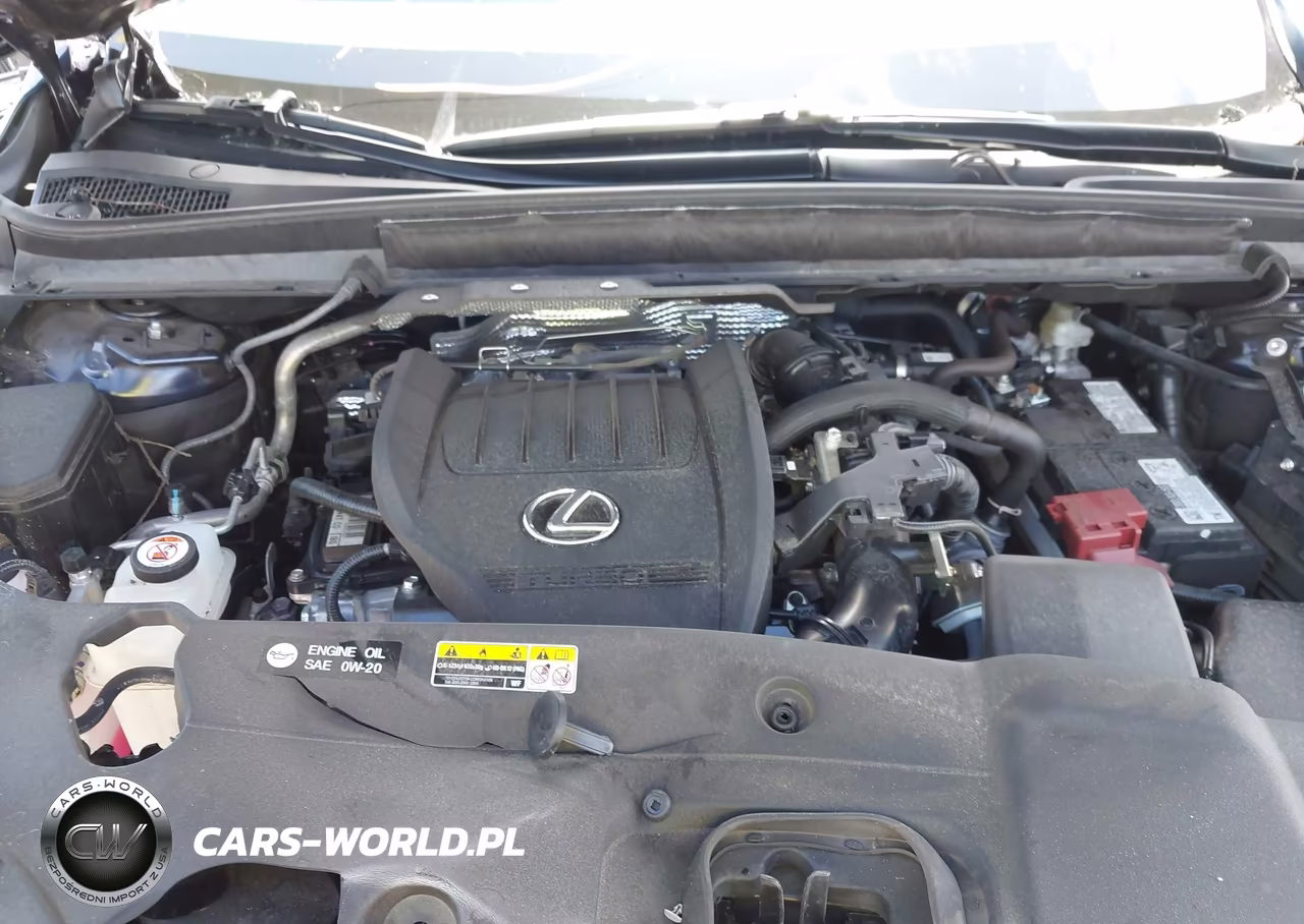 2024 Lexus Rx 350 Luxury VIN:2T2BAMBA3RC041885 - 10