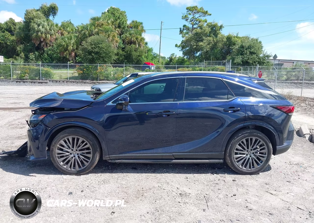 2024 Lexus Rx 350 Luxury VIN:2T2BAMBA3RC041885 - 14